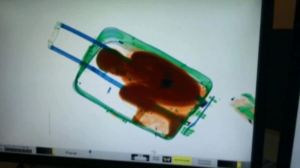 La guardia civil española descubrió, a través de rayos x, a Adou Ouattara, de 8 años de edad, en una maleta de mano de una mujer de 19 años. 