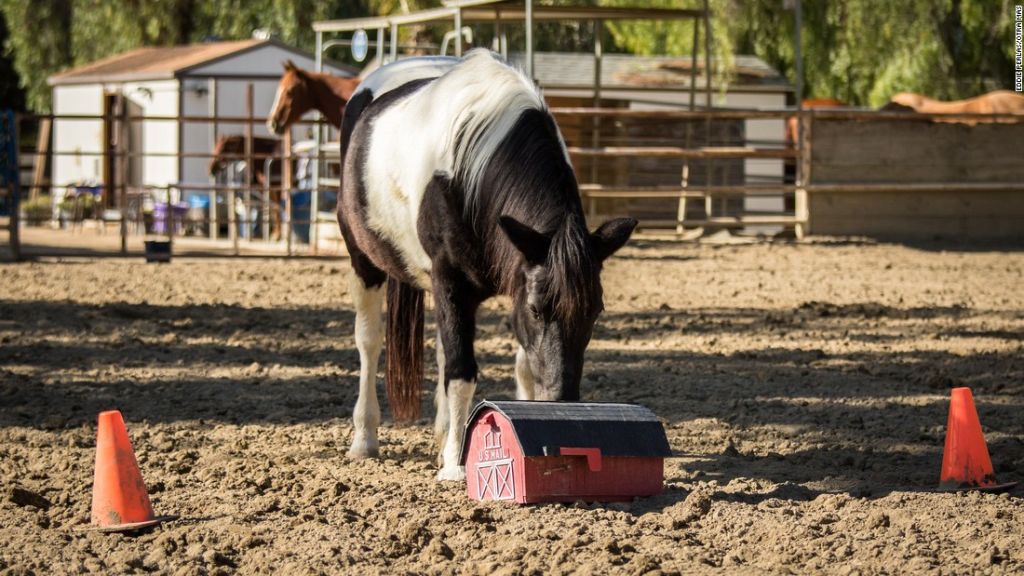 Un caballo empuja un accesorio en el Ortega Center en San Juan Capistrano, California.