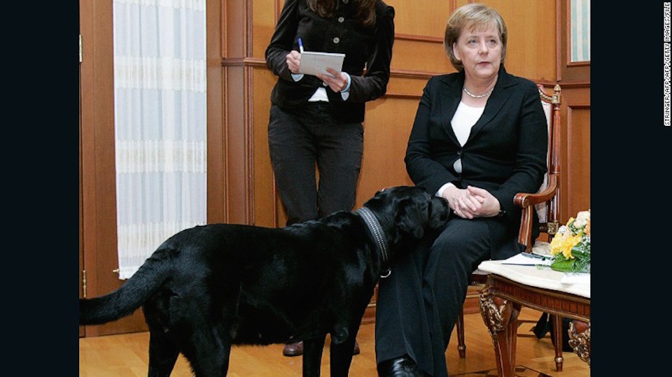 Merkel, está claramente incómoda mientras Koni, el perro del presidente Putin, se le acerca en una reunión en Sochi, en 2007. 