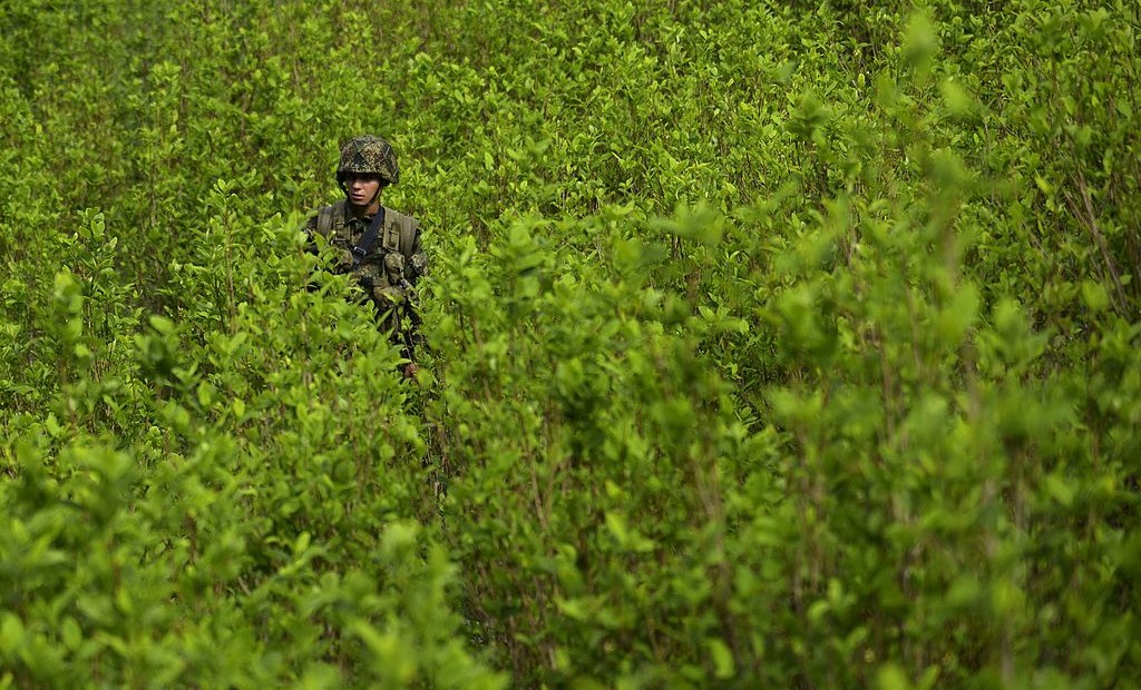 A Colombian soldier provides security to a group of peasants working in eradication of coca plantations in the mountains of Yali municipality, northeast of Medellin, Antioquia department, on September 3, 2014. More than 100 hectares of coca plantations have been destroyed in three months, according to local authorities. Colombia is responsible for 41.6 percent of the world's coca plantations, followed by Peru with 40.7 percent and Bolivia with nearly 18 percent. AFP PHOTO/Raul ARBOLEDA (Photo credit should read RAUL ARBOLEDA/AFP/Getty Images)