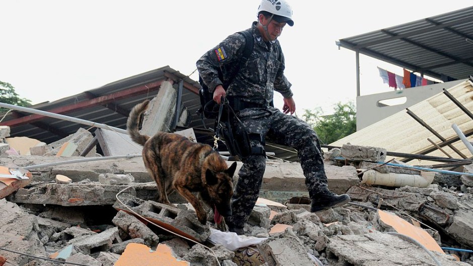 TOPSHOT - With the help of trained dogs, rescue workers in the city of Manta in Manabi province search on April 17, 2016 through the rubble for survivors of the 7.8-magnitude quake that hit Ecuador on Saturday. At least 235 people were killed by the powerful earthquake that destroyed buildings and a bridge and sent terrified residents scrambling from their homes, authorities said Sunday. / AFP / ARIEL OCHOA (Photo credit should read ARIEL OCHOA/AFP/Getty Images)