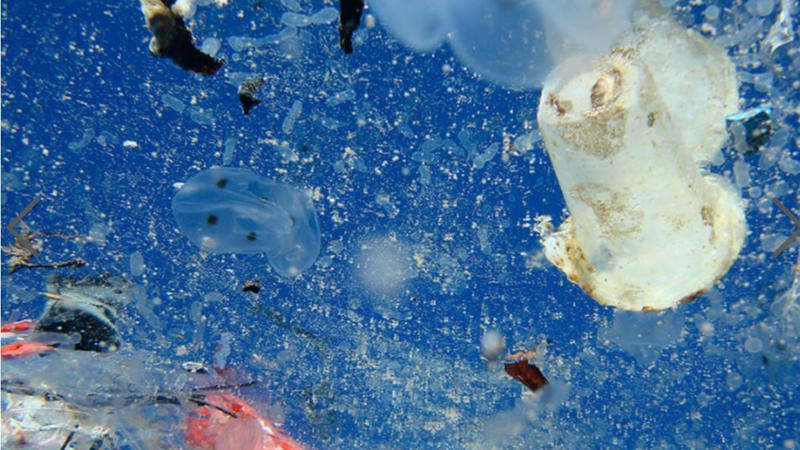 Los fragmentos son suficientemente pequeños como para mezclarse con el plancton. (Crédito: Plastic Ocean/CNN)