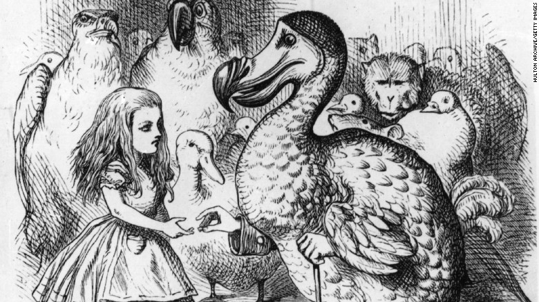 El dodo se hizo muy popular gracias al libro "Alicia en el país de las maravillas", de Lewis Carroll. 