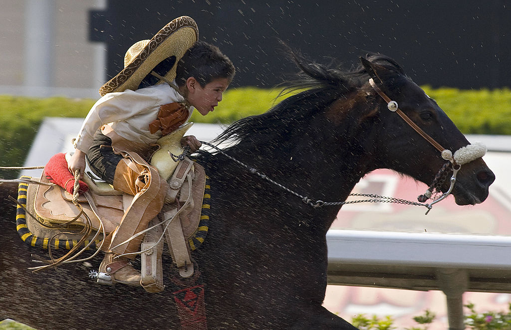 A Mexican Charro boy rides his horse at the Racetrack of the Americas during the celebration of the National Charreada, February 3 2008, in Mexico City. The charreada is a festive event that incorporates equestrian competitions and demonstrations, specific costumes and horse trappings, music, and food. AFP PHOTO/Luis ACOSTA (Photo credit should read LUIS ACOSTA/AFP/Getty Images)
