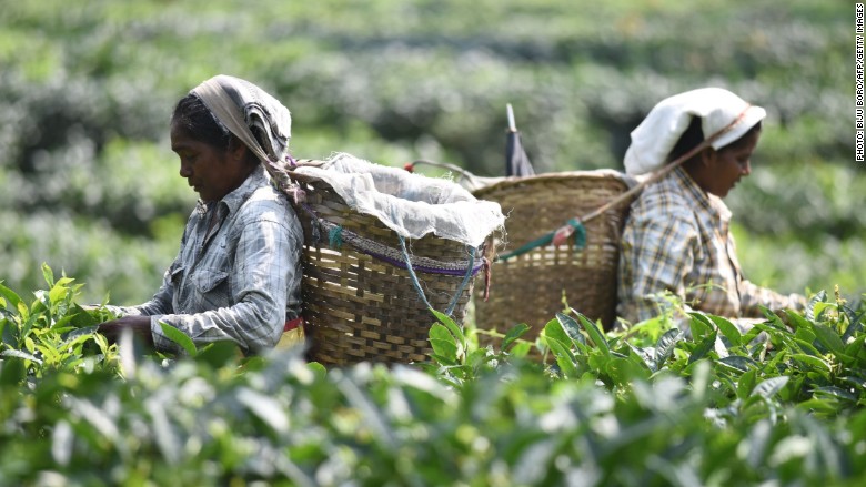 Casi la mitad de los trabajadores del sur de Asia viven en condición de extrema o moderada pobreza, según la OIT.