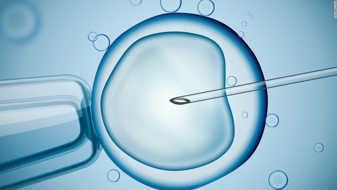 La gametogénesis in vitro permite que los óvulos y los espermatozoides sean creados en un plato de cultivo en el laboratorio. 