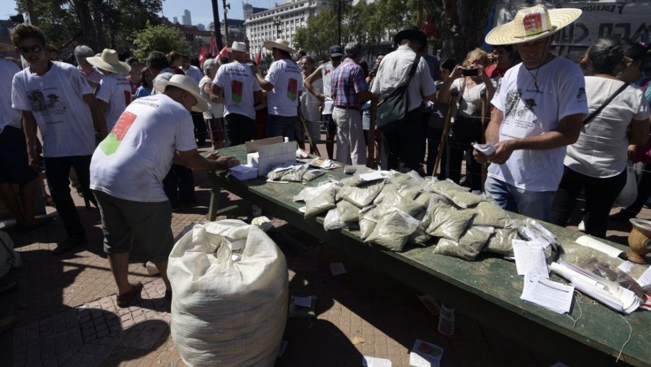 Mate growers from the province of Misiones, northeastern Argentina give for free packages of mate at Plaza de Mayo square in Buenos Aires, on March 2, 2017, during a protest in the hope to inform buyers and legislators about their situation. The growers gave away free to the passers-by 30,000 packages of mate in a protest against the low price of their product. / AFP PHOTO / JUAN MABROMATA (Photo credit should read JUAN MABROMATA/AFP/Getty Images)