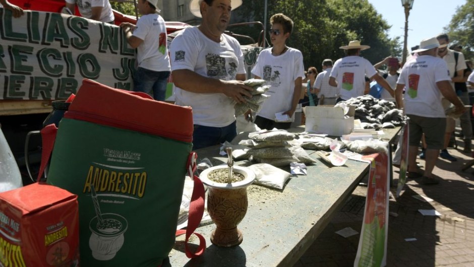 Mate growers from the province of Misiones, northeastern Argentina give for free packages of mate at Plaza de Mayo square in Buenos Aires, on March 2, 2017, during a protest in the hope to inform buyers and legislators about their situation. The growers gave away free to the passers-by 30,000 packages of mate in a protest against the low price of their product. / AFP PHOTO / JUAN MABROMATA (Photo credit should read JUAN MABROMATA/AFP/Getty Images)