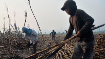 Trabajadores de la caña de azúcar en Atencingo, estado de Puebla, en el sur de México el 11 de mayo de 2017. Crédito: PEDRO PARDO / AFP / Getty Images.