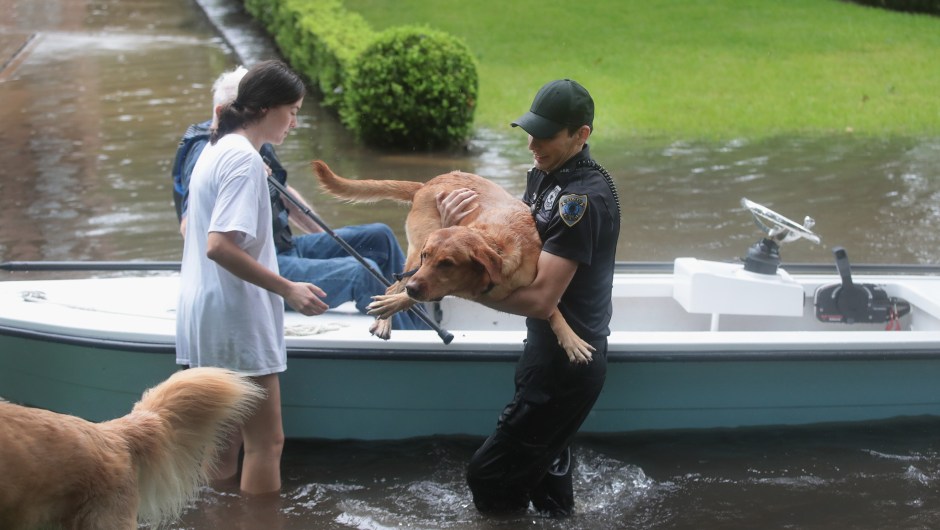 Voluntarios y agentes de la patrulla de seguridad del barrio ayudan a rescatar a residentes y a sus perros en el barrio de River Oaks el 27 de agosto de 2017 en Houston, Texas. Crédito: Scott Olson / Getty Images