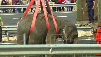 Un elefante muerto y dos heridos tras chocar el camión del circo