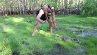 Se implementa programa para eliminar serpientes pitón en los Everglades