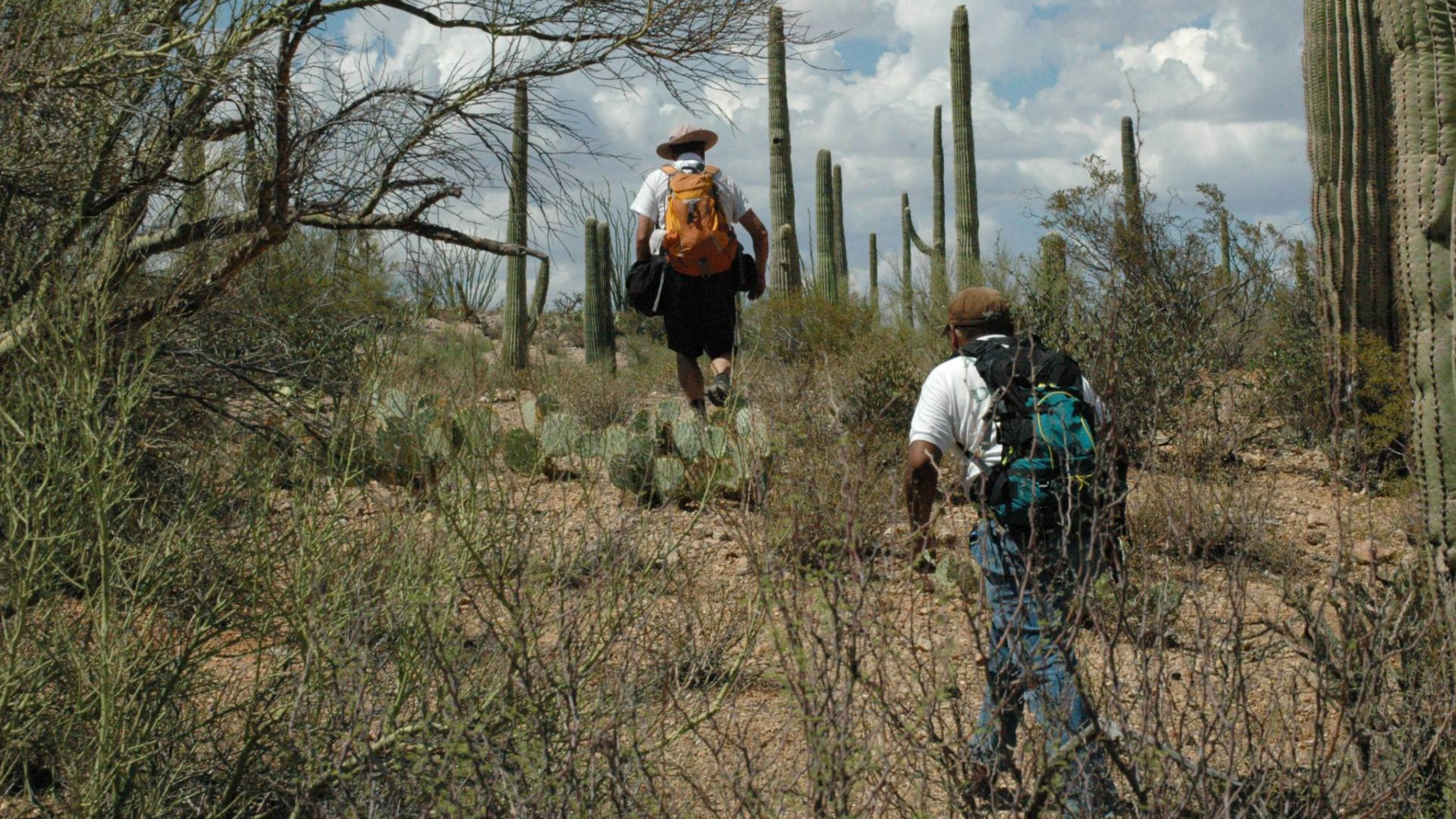 La organización sin fines de lucro de búsqueda y rescate Los Angeles Del Desierto (Desert Angels) que trabaja en la Reserva Tohono O'odham en el sur de Arizona.