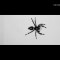 Científicos entrenan a araña para saltar cuando se lo ordenan