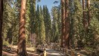 Reforman la casa de las secuoyas gigantes en Yosemite