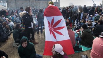 El Senado de Canadá aprobó este martes el uso recreativo de la marihuana. (Crédito: LARS HAGBERG/AFP/Getty Images)