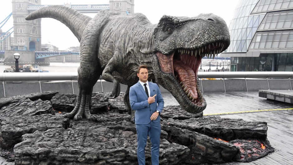 El actor Chris Pratt durante la presentación de su última pelícuklam 'Jurassic World: Fallen Kingdom' en Londres el 24 de mayo. (Crédito: Stuart C. Wilson/Getty Images)