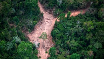 Satélites que combaten mejor la deforestación