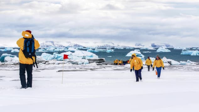 Hola desde la Antártica. (Crédito: Shutterstock)