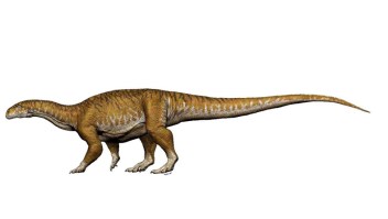 Recreación de Ingentia Prima, el primer dinosaurio gigante. (Crédito: Universidad de San Juan).