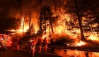 Incendios forestales en EE.UU.: más duraderos y potentes que nunca