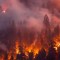 Devastación histórica por incendios en California