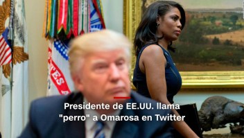 #MinutoCNN: Trump llama "perro" a Omarosa en un tuit