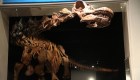 Puedes admirar el dinosaurio más grande del mundo en Nueva York