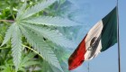 El uso medicinal de marihuana se permitirá en Ciudad de México