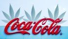 #ElDatoDeHoy: ¿Cerca las Coca Cola con compuestos de la marihuana?