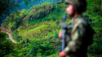 Récord de narcocultivos en Colombia, a pesar de esfuerzos de sustitución