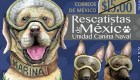 Estampilla honra a los perros rescatistas en México