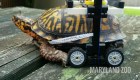 Una tortuga camina gracias a una "silla de ruedas" con piezas Lego