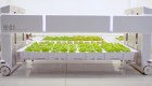 Granja autónoma puede cuidar individualmente a cada planta