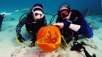 #EstoNoEsNoticia: celebración de Halloween en el fondo del mar