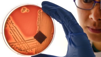Superbacterias inmunes a los antibióticos en Europa