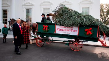 Árbol de navidad llega a Casa Blanca