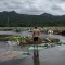 Indonesia está en alerta ante la posibilidad de otro tsunami