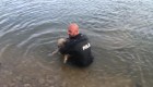 #EstoNoEsNoticia: el milagroso rescate de una perra en aguas heladas