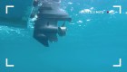 Mito: Un robot subacuático de control remoto