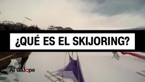 ¿Qué es el Skijoring?