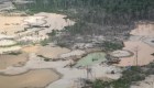 Minería ilegal deforestó miles de hectáreas de selva amazónica
