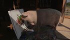 #LaImagenDelDía: un cerdo con sentido artístico