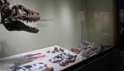 Subasta prehistórica en eBay