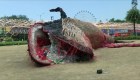 #LaImagenDelDía: impactante escultura de ballena muerta con basura