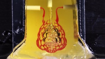 Bioingenieros logran imprimir órganos humanos de reemplazo en 3D
