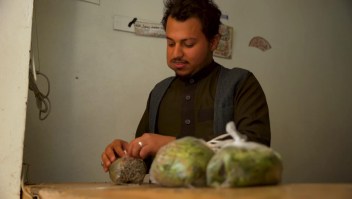 Khat en Yemen: la droga más consumida por las familias