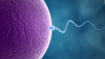 Los mitos que rodean la infertilidad