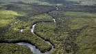 342 Amazonia: una app para el activismo ambiental en Brasil