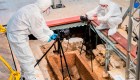 Arqueólogos analizan un sarcófago de 1.000 años